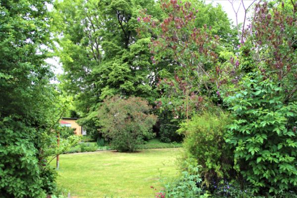 08gh-garten1270BD102-5D36-5733-7FF6-9470FBB15821.jpg