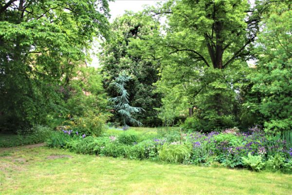 09gh-garten24EF00E1A-7145-8E40-B946-678C347609E7.jpg