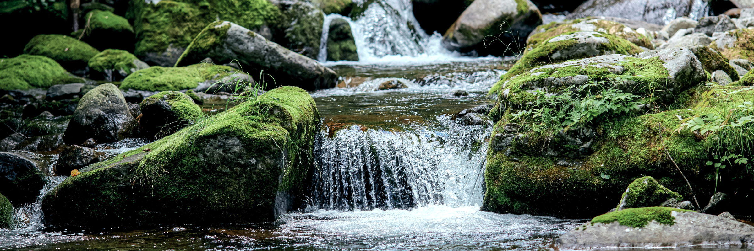 Es strömt aber das Recht wie Wasser ...